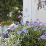 Haus Midsommer Lägenhet Timmendorfer Strand