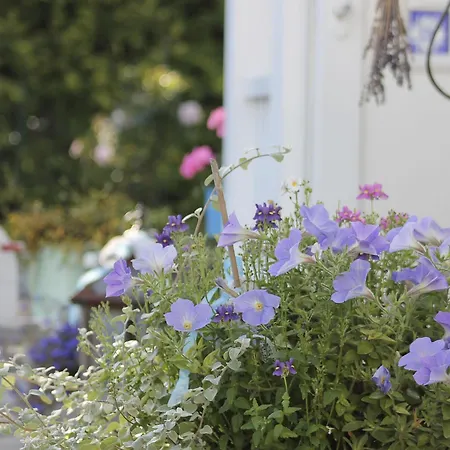 Haus Midsommer شقة تيميندورفير ستراند