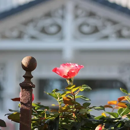 Haus Midsommer شقة