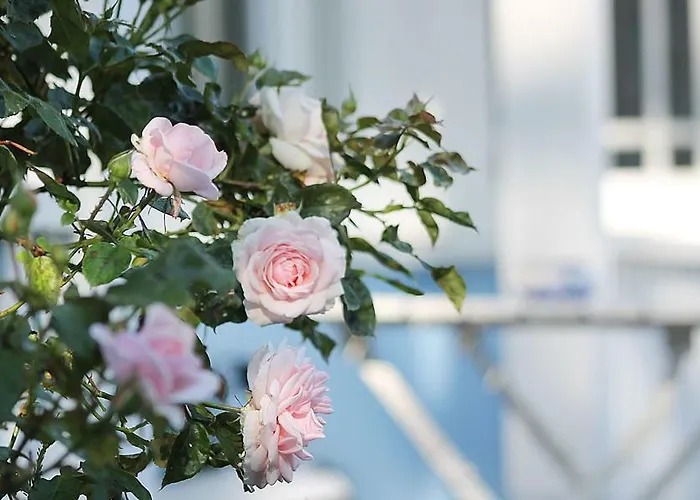 Appartamento Haus Midsommer Timmendorfer Strand